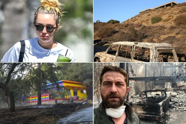 California Wildfires: Celebrity Home Losses In The Palisades - Complete Report California Wildfires: Celebrity Home Losses In The Palisades - Complete Report
