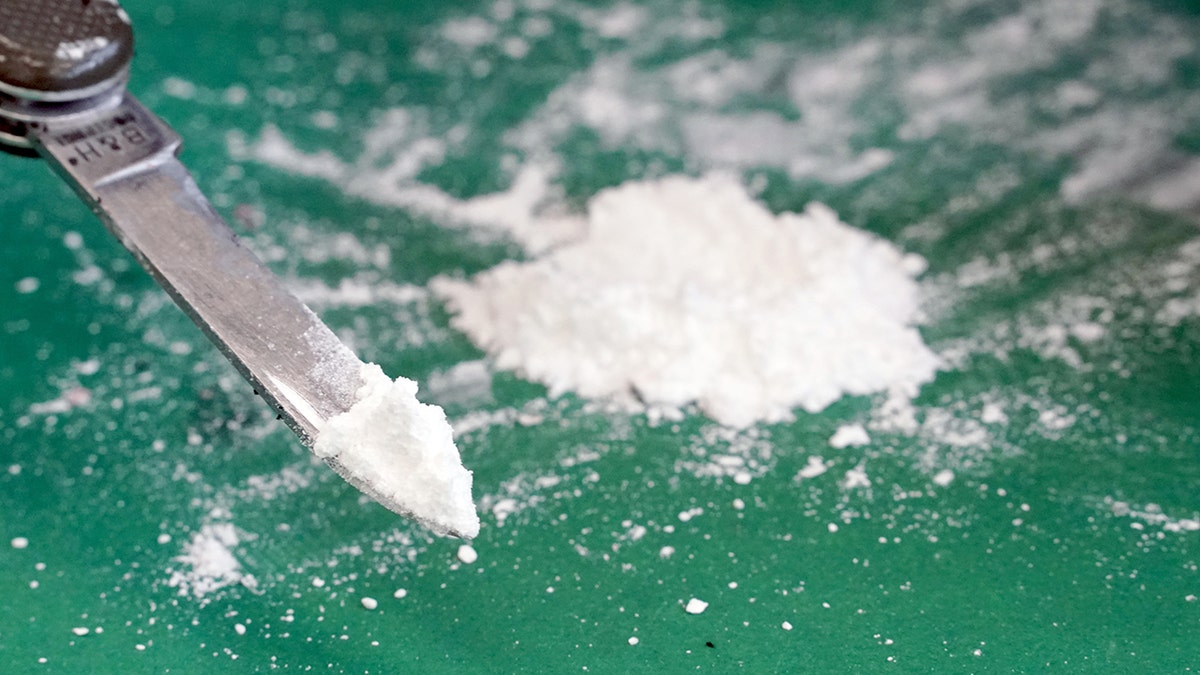 Cocaine Found At White House: Secret Service Ends Inquiry Cocaine Found At White House: Secret Service Ends Inquiry