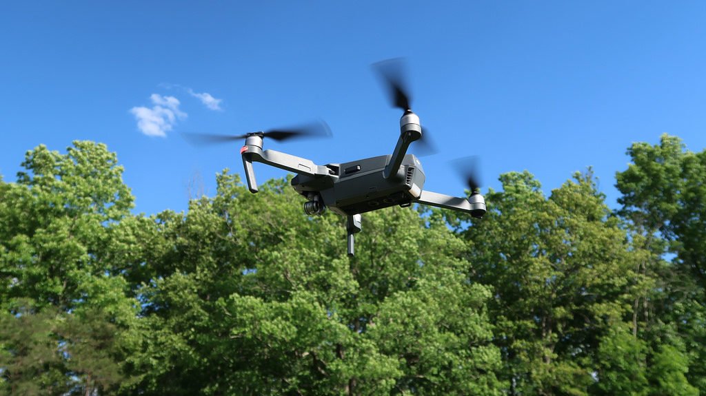 Harnessing AI For Wildlife Conservation: A Balanced Perspective Harnessing AI For Wildlife Conservation: A Balanced Perspective