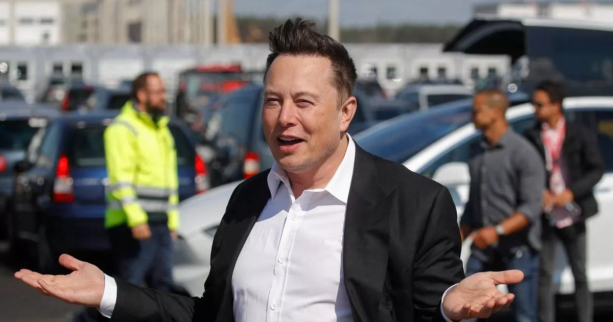 Tesla Q1 Profit Plunge: Impact Of Musk's Trump Ties Tesla Q1 Profit Plunge: Impact Of Musk's Trump Ties