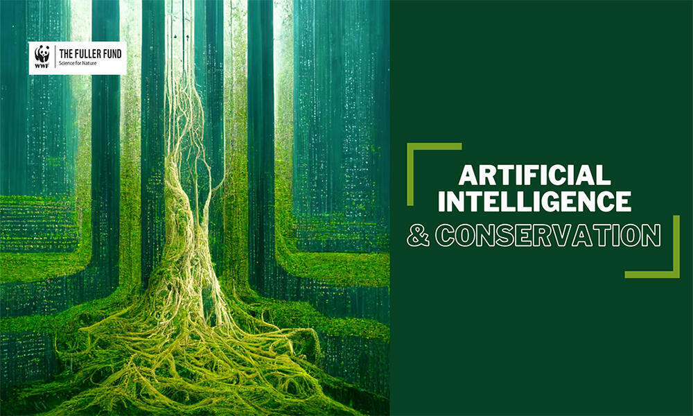 The Impact Of Artificial Intelligence On Wildlife Conservation Efforts The Impact Of Artificial Intelligence On Wildlife Conservation Efforts