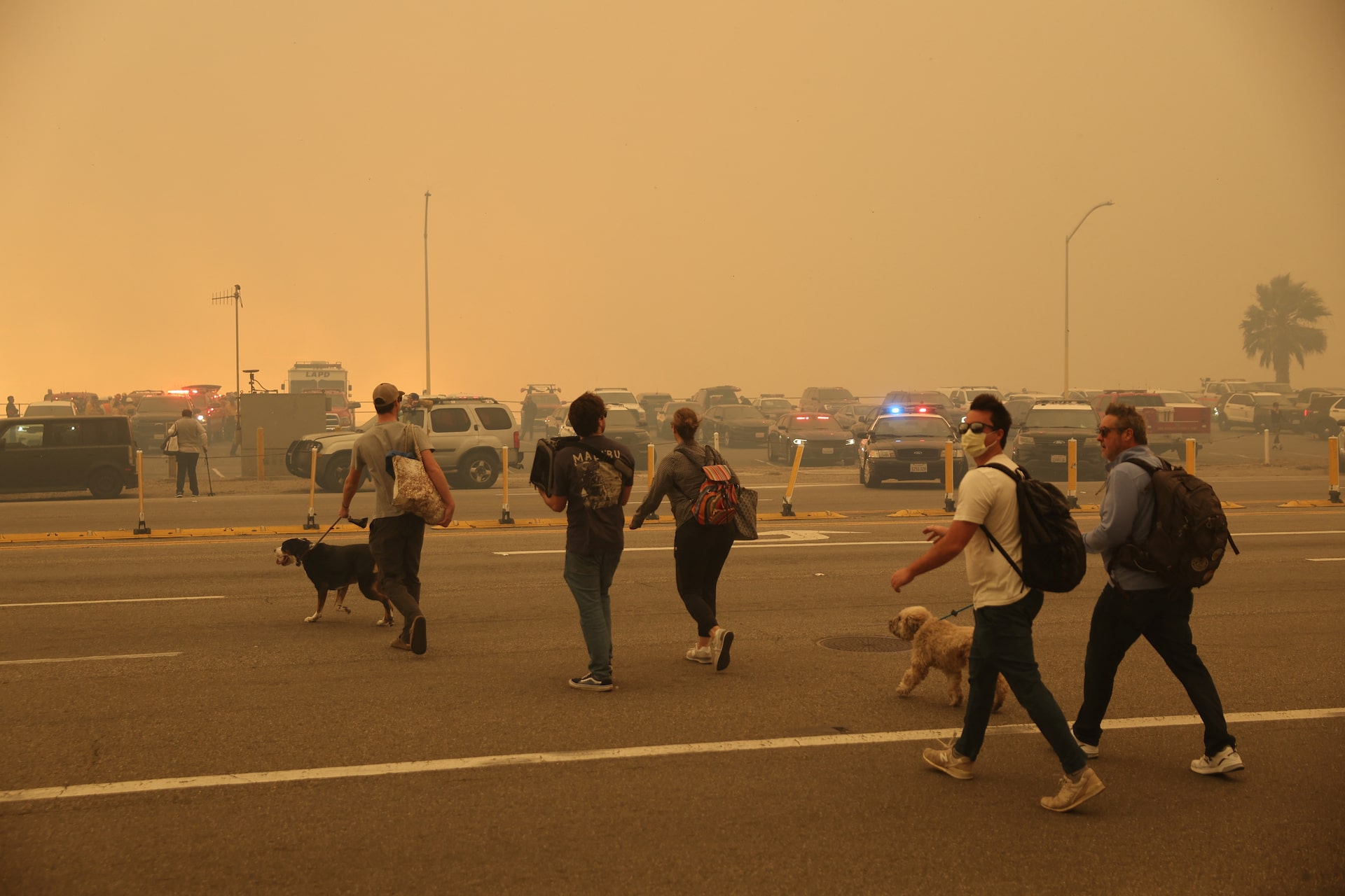 The Los Angeles Wildfires And The Ethics Of Disaster Betting The Los Angeles Wildfires And The Ethics Of Disaster Betting