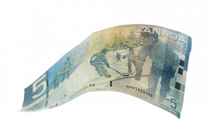 Why Is The Canadian Dollar Falling Despite Its Rise Against The Greenback? Why Is The Canadian Dollar Falling Despite Its Rise Against The Greenback?